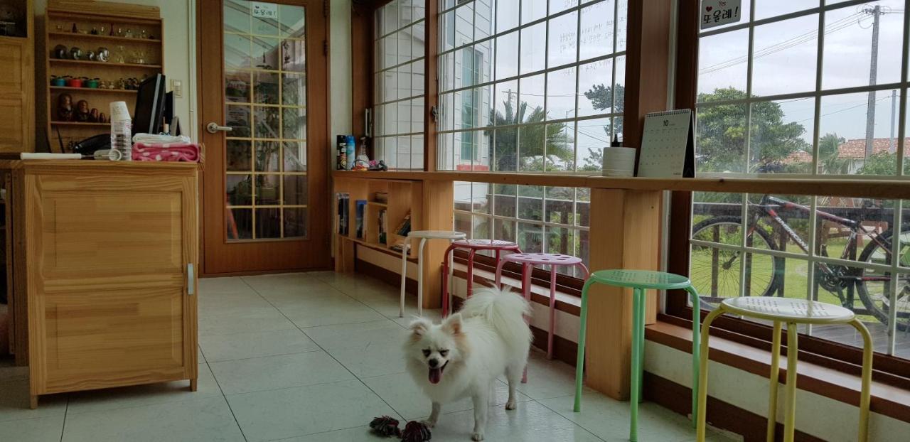 Jeju Again Olle Pension Kültér fotó